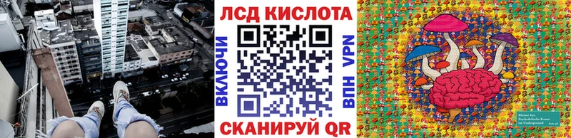 Купить закладки  Похвистнево  Наркотические марки 1500мкг 